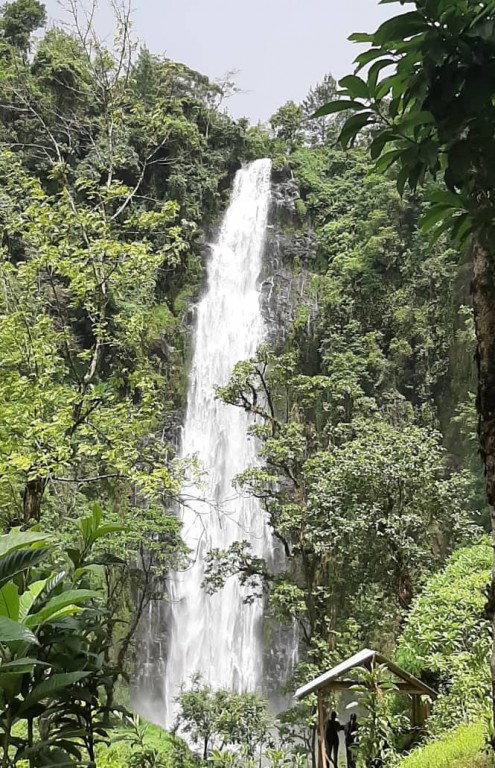 Excursion In Kilimanjaro Moshi Kilimanjaro Waterfall Culture And