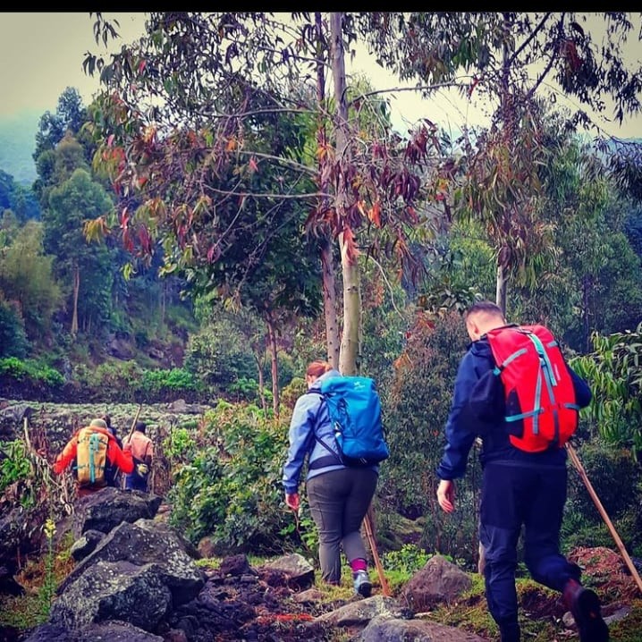 Safari In Entebbe Fort Portal Kasese Kanungu Mbarara 10 Days