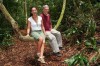 Brazil.Forest