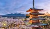 AdelsmanTours.Japan