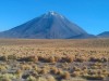 Volcano Licancabur, Salta, San Pedro de Atacama