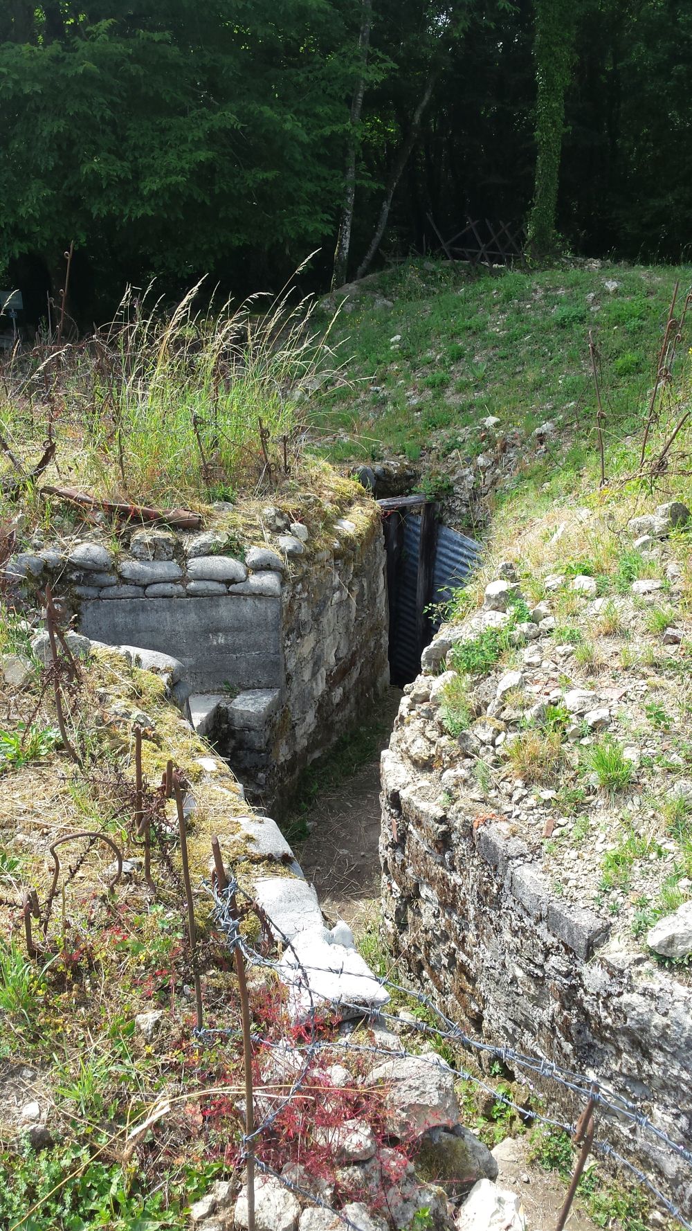 Private tour in Romagne-sous-Montfaucon. American Meuse-Argonne ...