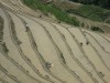 Longji rice terraces, Guilin