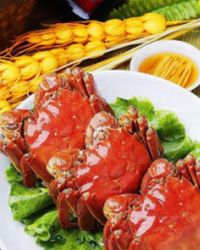 Gourmet & Cooking tour in Shanghai. Shanghai Food trail Tour. Guided ...