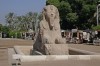 Alabaster sphinx, Cairo Alabaster sphinx, Cairo