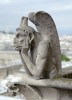 A gargoyle atop Notre Dame Cathedral contemplates life, Paris