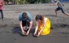 Baby turtle release, Gianyar, saba Baby turtle release, Gianyar, saba