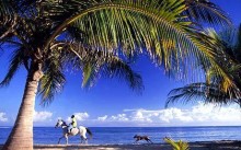 Horseback ride and Dunns River Falls. Montego Bay. Jamaica