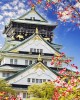 Yokoso Japan Tour - From Osaka to Tokyo in 7 Days in Osaka, Japan