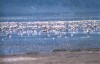 ., Nairobi