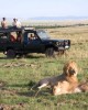 Safari in Nairobi