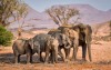 samburu safari, Samburu Reserve