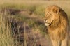 samburu safari, Samburu Reserve