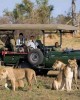 Safari in Aberdares