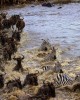 Safari in Amboseli