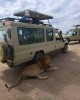 Adventure tour in Nairobi