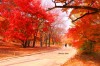 Autumn, Seoul