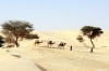 Trekking in desert in Mauritania, Chinguetti