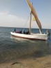Boat going to the island, Nouakchott, Banc darguin