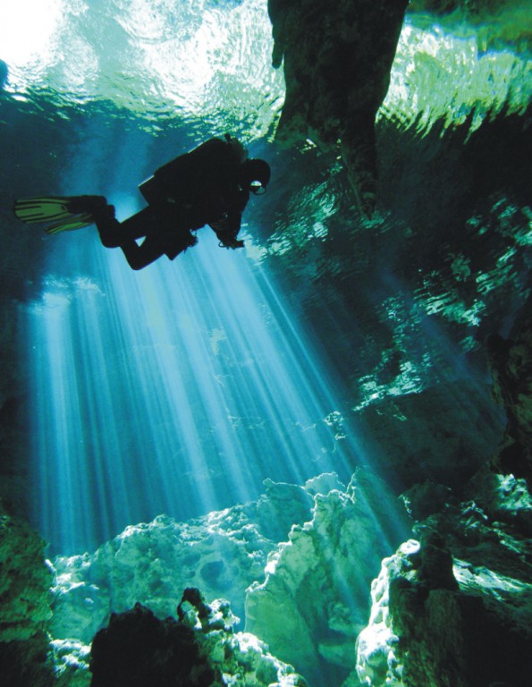 diving playa del carmen vs cozumel