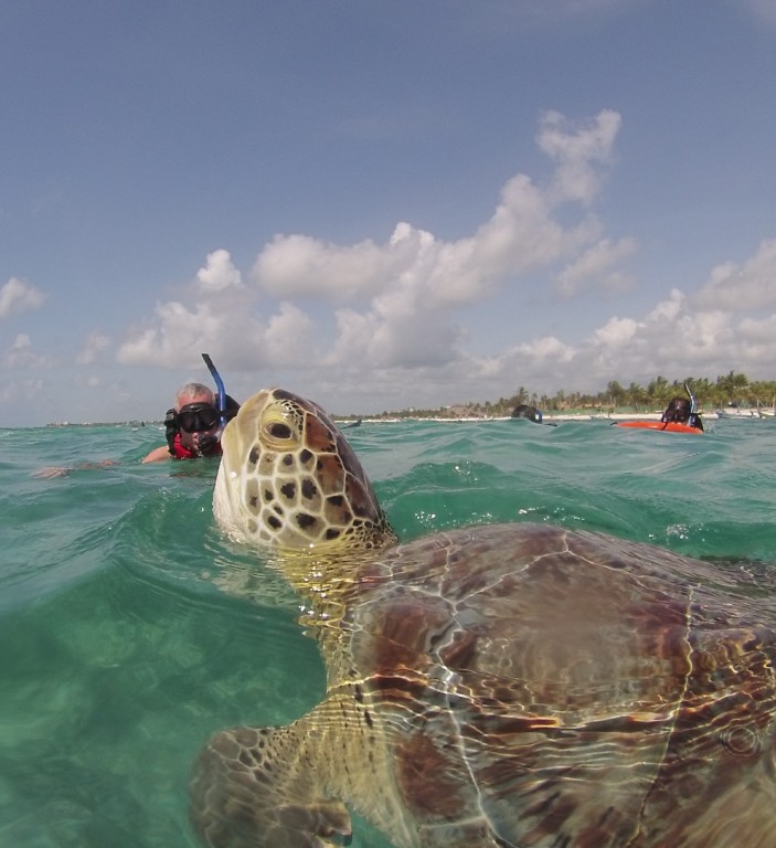 Eco and Wildlife tour in Playa del Carmen, Cancun, Cozumel, Tulum ...