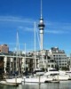Auckland City Tour in Auckland, New Zealand
