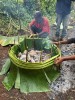 Traditional ground oven cooking with hot stones, Goroka, Asaro Village Traditional ground oven cooking with hot stones, Goroka, Asaro Village