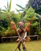 Adventure tour in Goroka Adventure tour in Goroka