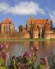 Culture and History tour in Malbork