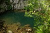 Tauz spring, Oradea, Scarisoara