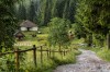 Rustical landscape, Oradea, Scarisoara