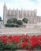 Palma Cathedral and the Old City of Majorca in Palma de Majorca, Spain