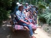 village tour by bullock cart, Sigiriya, Habarana a small village
