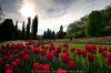 ., From Switzerland to Germany