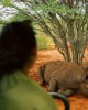 Safari in Moshi