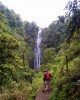 Hiking tour in Moshi