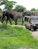 Safari in Arusha