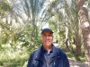 Desert Oasis, Tozeur