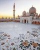 Private tour in Abu Dhabi