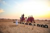 Camel Riding, Dubai