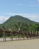 Culture and History tour in Nha Trang