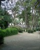 Burle Max Botanical garden in Rio de Janeiro, Brazil