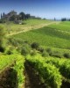 Shore excursion from Livorno: Chianti tour in Florence, Italy