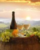 Tuscany wine tour in Rome, Italy
