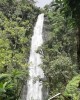 Kilimanjaro waterfall, culture and coffee trips in Moshi Tanzania in Moshi, Tanzania