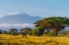 Private guides in Kilimanjaro climbing trips, trekking expeditions Tanzania in Moshi, Tanzania