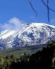 Kilimanjaro expeditions private guides climbing Machame route 7 days in Kilimanjaro, Tanzania