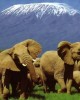 Machame route Kilimanjaro climbing trip booking online in Moshi, Tanzania